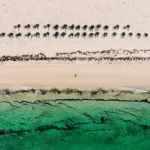 Coastal Escapes