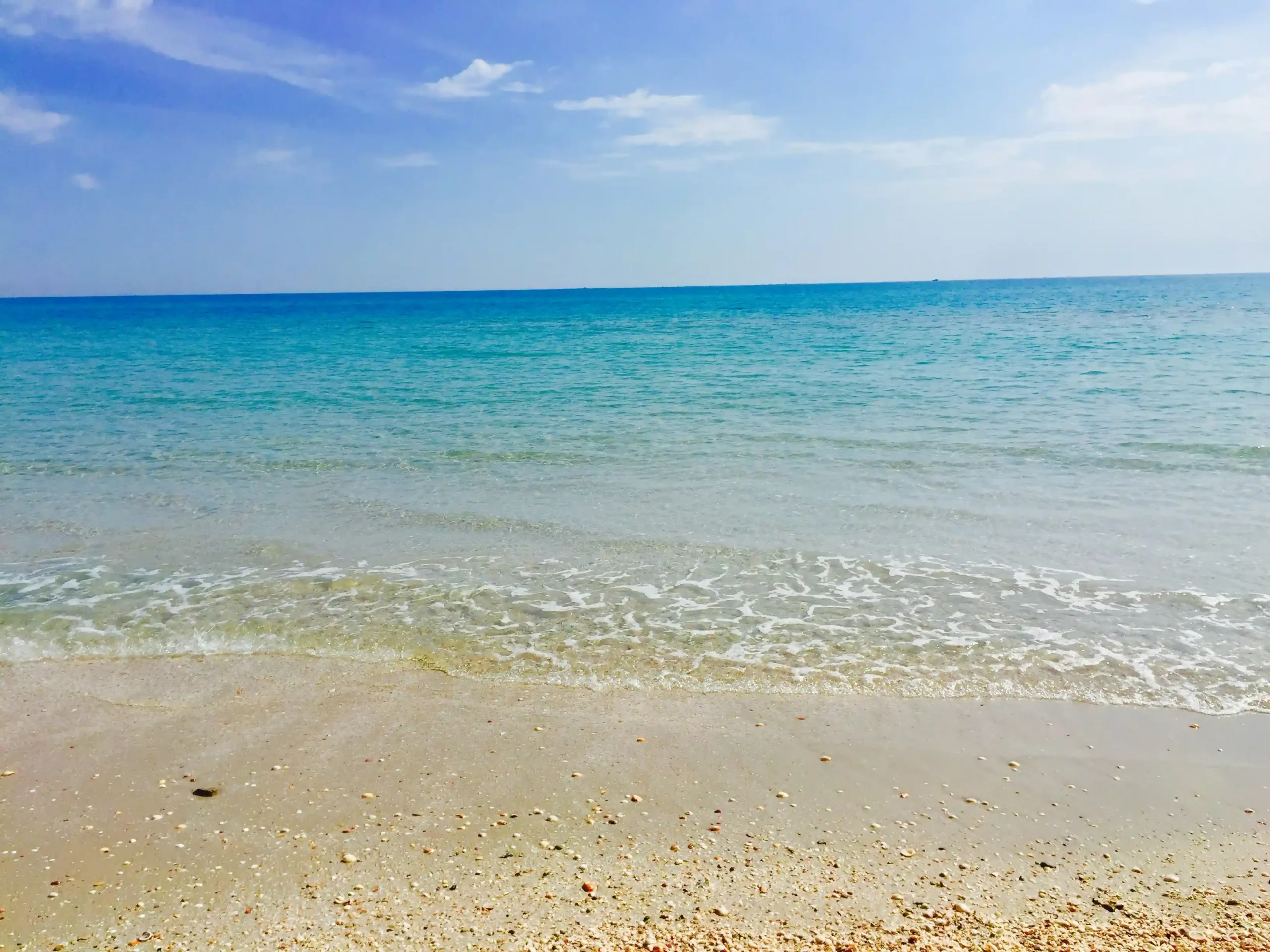 Fughe sulla costa